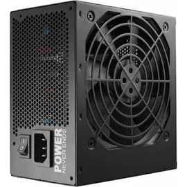 FSP Group Fortron Hexa 85+ Pro 650W ATX (650 W), PC Netzteil, Schwarz