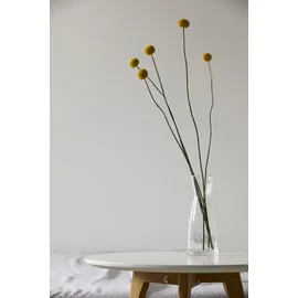 ELEGANTE Breeze kurkuma 135 x 200 cm + 80 x 80 cm