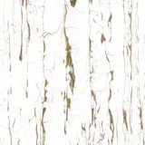 Euro Stone Feinsteinzeugfliese Vegas Weiß 60 x 60 cm