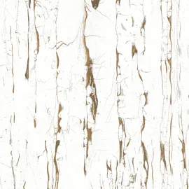 Euro Stone Feinsteinzeugfliese Vegas Weiß 60 x 60 cm