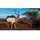 Way of the Hunter (Wild Expeditions) - Microsoft Xbox Series X - Jagd - PEGI 16