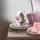 Villeroy & Boch Mariefleur Basic Frühstücksuntertasse 6-tlg. bunt