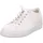 Paul Green 4081 white 38
