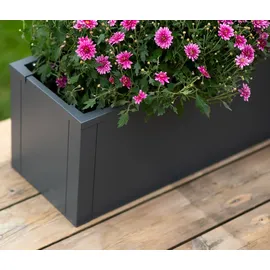 Tchibo Talus Pflanzkasten 100 x 25 x 27 cm Anthrazit