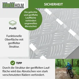 Trutzholm Auffahrrampe 226 cm 1360 kg klappbar Aluminium profiliert silber 2 St.