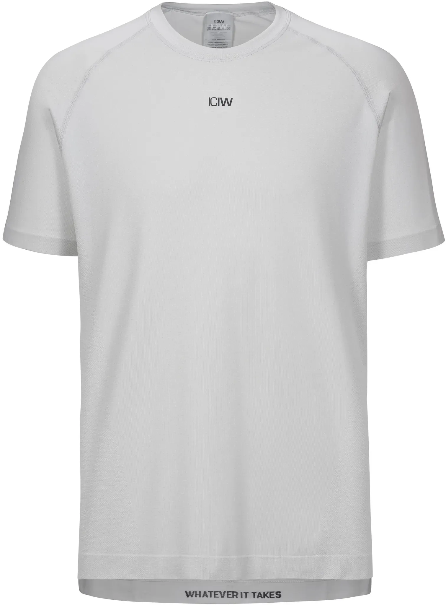 ICANIWILL Stride Funktionsshirt Herren in lunar grey, Größe M - grau