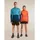 Icebreaker Herren 200 Realfleece Descender Half Zip Longsleeve (Größe M, blau)