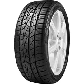 Delinte AW5 155/70 R13 75T