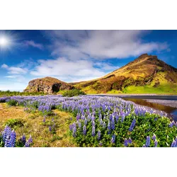 Fototapete PAPERMOON "BLUMEN LANDSCHAFT-SEE GEBIRGE BERGE LAVENDEL BLUME DEKO", bunt, B:3,50m L:2,60m, Vlies, Tapeten