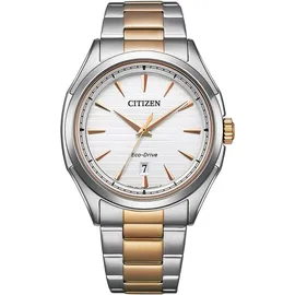 Citizen Eco-Drive FE2116-85A Edelstahl 31 mm