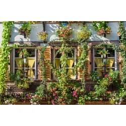 Fototapete PAPERMOON "Haus mit Pflanzen", bunt, B:3,50m L:2,60m, Vlies, Tapeten