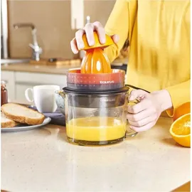 TAURUS Citrus Glass