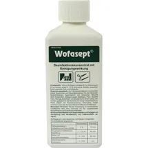 Kesla Pharma Wolfen Wofasept  Instrumenten- und Flächendesinfektion 250 ml