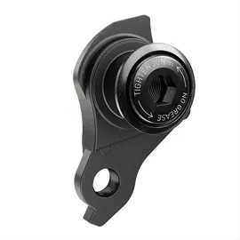 Sram Schaltauge UDH Schwarz