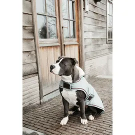 Kentucky Hundemantel wasserdicht 160 g Rosa S/M