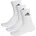 Cushion 40-42