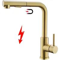 Küchenarmatur Gold Niederdruck ausziehbar 360° Schwenk Wasserhahn Edelstahl