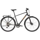 Diamant Elan Super Deluxe - City-Trekking Bike | dravitgrau metallic - M