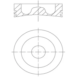 Kolben MAHLE 061 PI 00142 000