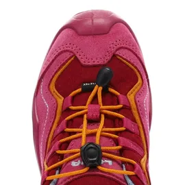 Lowa Robin Evo GTX Lo 38