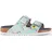 flower field mint 36