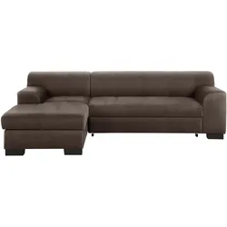 Ecksofa HOME AFFAIRE "Falk klare Linien, elegant und zeitlos, L-Form", braun (mocca), B:262cm H:77cm T:159cm, Sofas, mit Federkern und wahlweise mit Bettfunktion