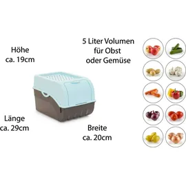 Novaliv Kartoffelbox 5 L 3-tlg. türkis