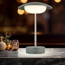 GLOBO Tischleuchte Grün 2er Set