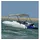 vidaXL Sonnenschutz 3-Bow Bimini-Top 183 x 180 x 137 cm Grau