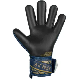 Reusch Attrakt Freegel Silver Junior Blau/Gold 4