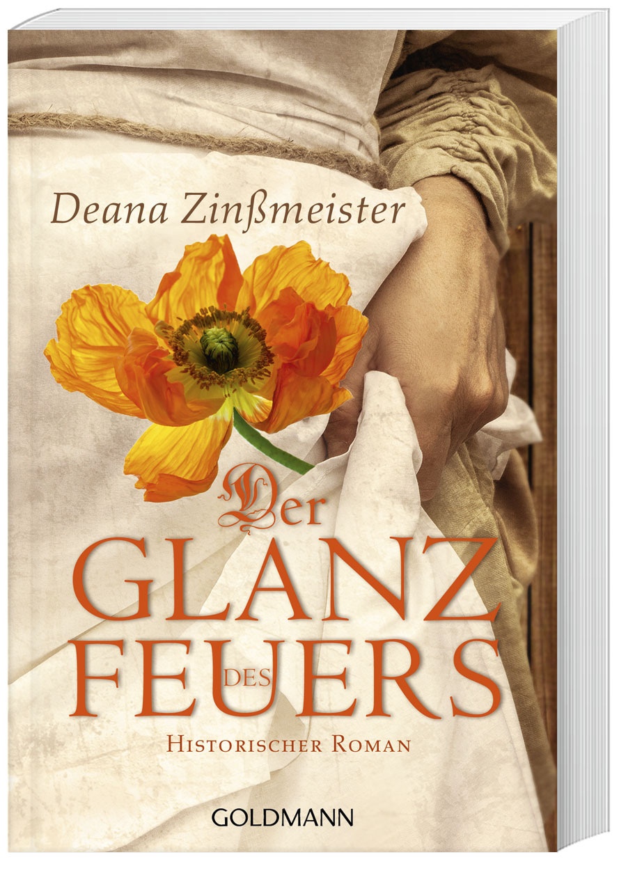 Der Glanz Des Feuers - Deana Zinßmeister  Taschenbuch