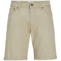 Jack & Jones PlusSize Shorts JPSTRICK ORIGINAL SHORT PLS beige 46