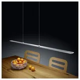 Helestra Lexx (16/1504.19)