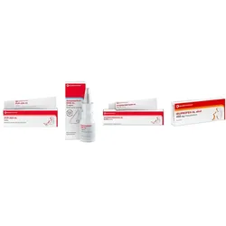 Aliud Reisebundle mit Ibuprofen + Nasenspray + Salbe + Creme