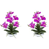 CREATIV green künstliche Pflanze Orchidee, 41 cm 2er Set