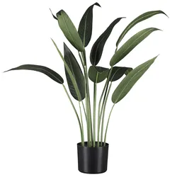 Künstliche Zimmerpflanze CREATIV GREEN "Wassercanna", grün, H:90cm, Kunststoff, Kunstpflanzen, mit üppigem Blattwerk