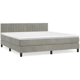 vidaXL Boxspringbett mit Matratze Hellgrau 160x200 cm Samt1397724