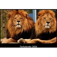 Vero Kalender Tierkalender 2026 Fotokalender DIN A3 von Tobias