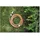 G.F. Garden Aquapop JOY 22,5 m mehrfarbig