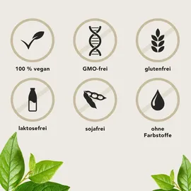 aura natura Fermentura OmegaPur Hochdosierte Omega 3 Kapseln 30 St.