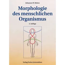 Morphologie des menschlichen Organismus