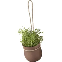 RIG-TIG Grow-It Kräutertopf Terrakotta