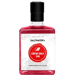 Saltwater ́s Summer Berries Likör auf Gin Basis 25% - 500ml