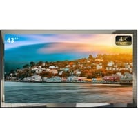Soulaca 43Zoll 4K UHD Smart TV für Badezimmer,Digital/Analog-Tuner, Mirror Panel, Magic Remote, wasserdicht, Netflix, integrierte Lautsprecher,2024 Modell,SS550U22-430E029