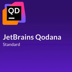 Qodana Standard