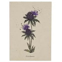 metabooks Postkarte Distel DINA6