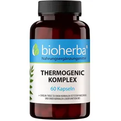 Thermogenic Komplex 100 Kapseln 60 St