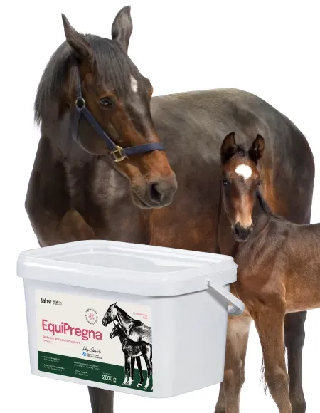 Lab-v EquiPregna Ergänzungsfuttermittel für trächtige und laktierende Stuten zur Unterstützung der Trächtigkeit, der fötalen Entwicklung und der Milchproduktion 2000g