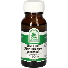Hecht Pharma KAMPFERÖL Camphora 20% in Olivenöl