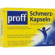 Dr. Theiss Naturwaren PROFF Schmerzkapseln 400 mg 20 St.